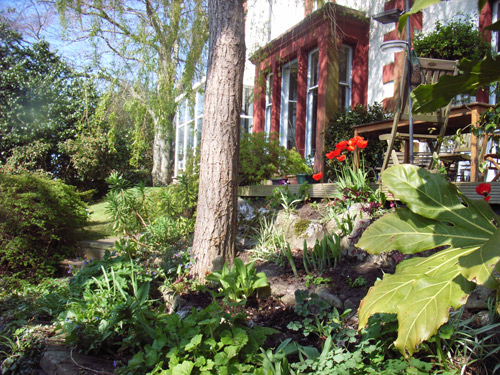 looking up at Bank House From the garden